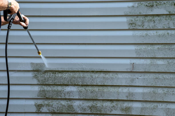 Best Storm Damage Siding Repair  in Cape May Court House, NJ