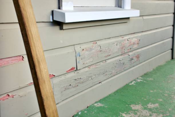 Professional Siding Installation & Repair in Cape May Court House, NJ
